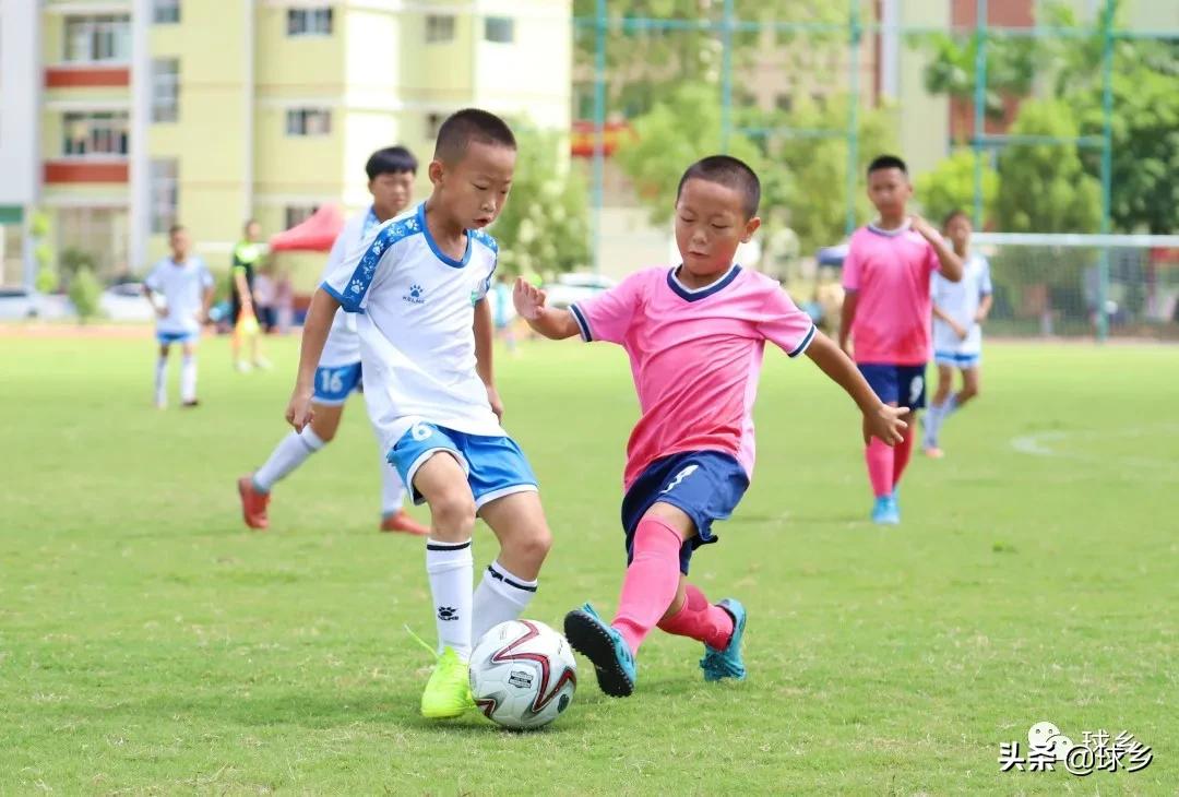 区中小学足球联赛,体教融合杯中学篮球赛