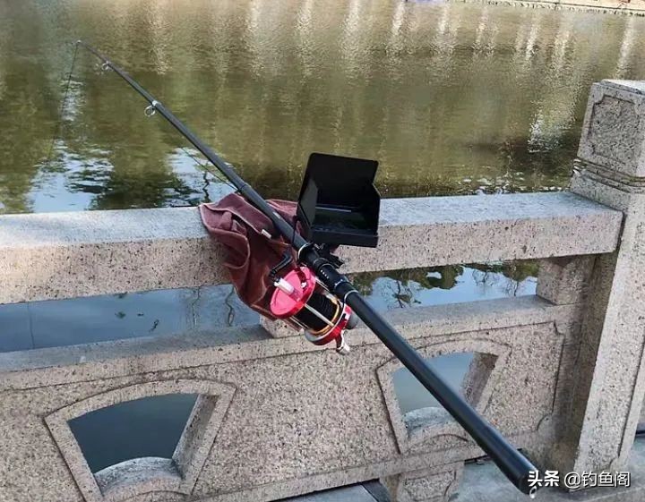 钓鱼与锚鱼区别,钓鱼跟锚鱼有什么区别