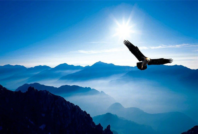 苏东坡趣闻全集,苏东坡趣闻趣事