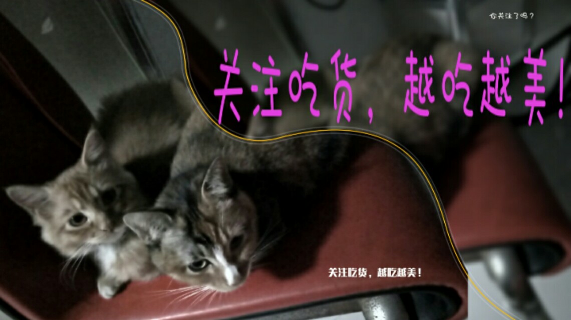 义务工作周记系列故事:新来的小护士(上)