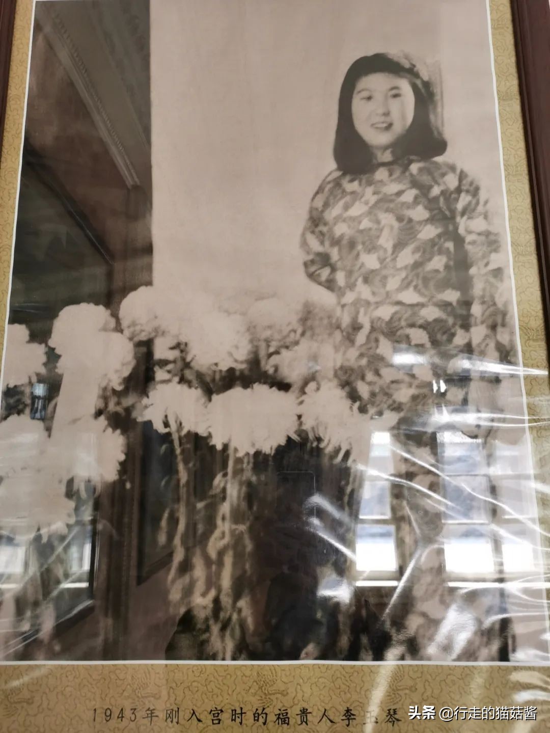 伪满皇宫博物院大气航拍,伪满皇宫各楼平面图