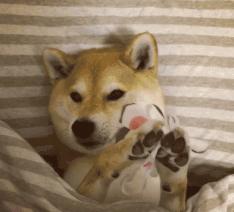 韩束消细纹,韩束洗白肌面奶