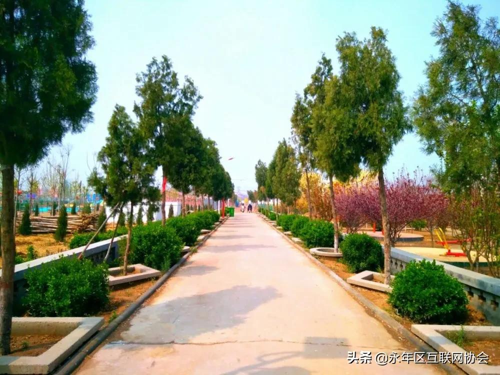 2024年乡村建设工作思路,乡村建设5年行动方案全文