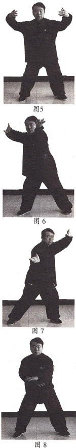 张祖翼太极拳功法视频,张祖义太极拳训练