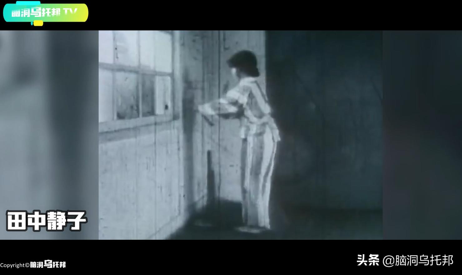 万只猫集体跳海，一场只有死亡才能终结的诅咒！日本诡异事件真相