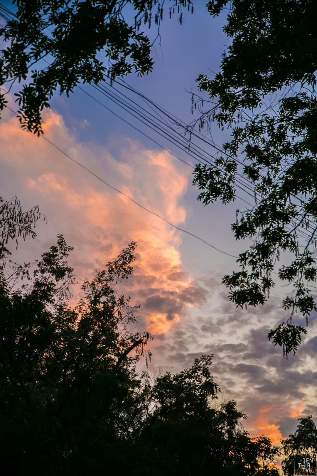 武汉大学必吃,武大校园美食攻略