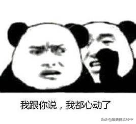 海蓝之谜璀璨焕白,夏季海蓝之谜适合哪款