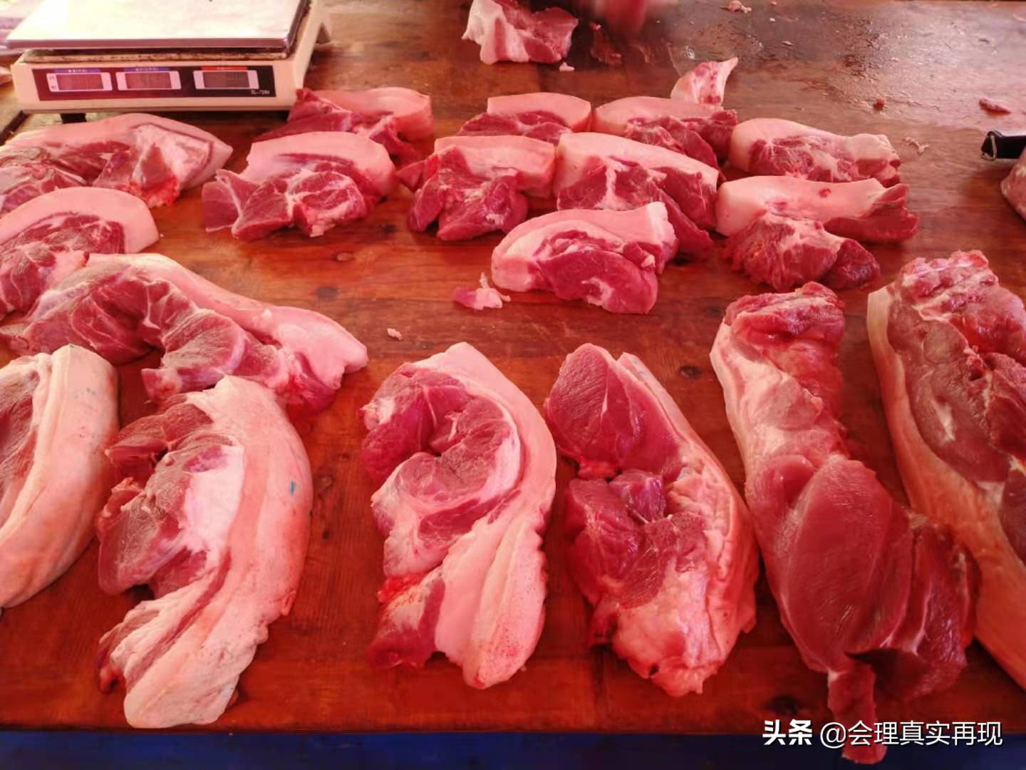 四川省凉山州会理县今日生猪价格,四川猪肉价格下跌原因