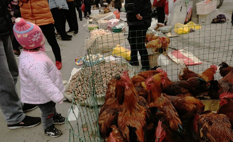 现在洛阳谷水还有没有赶集,洛阳过年会下雪吗
