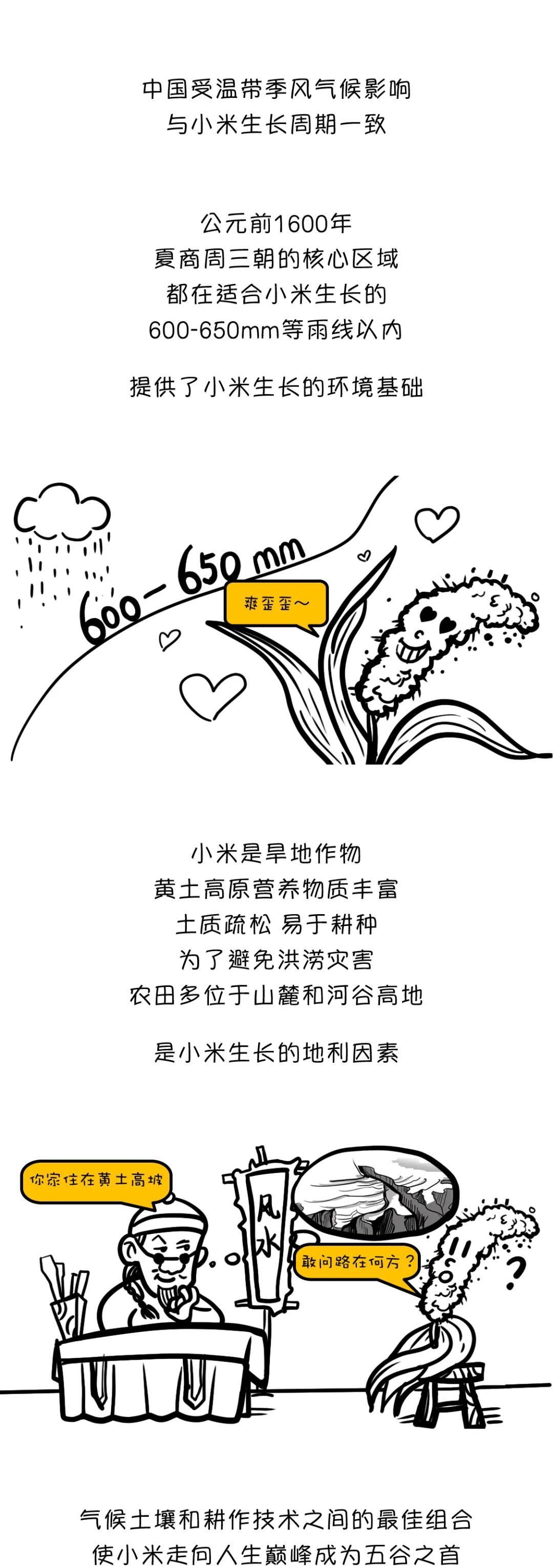 漫画食物简史好书推荐,漫画食物简史视频