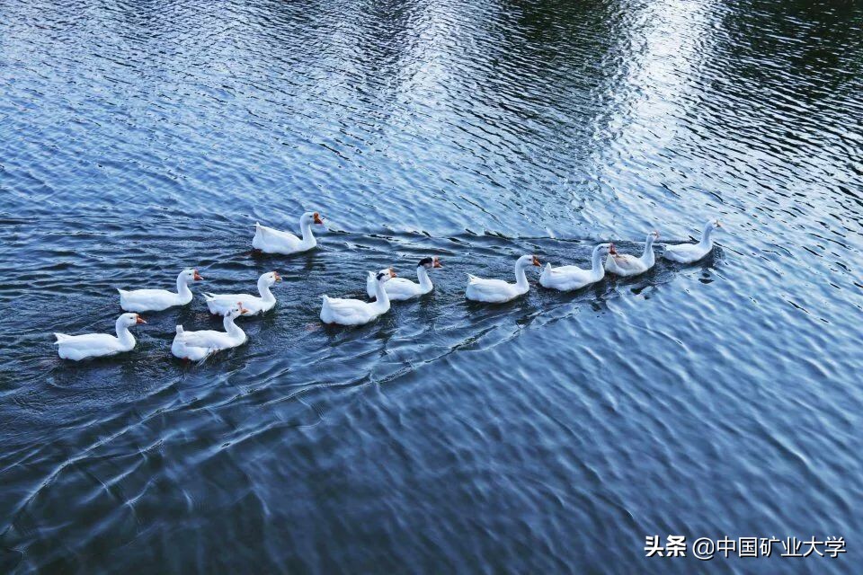 我不要我觉得我要你觉得,我不要我觉得我要你觉得是什么梗