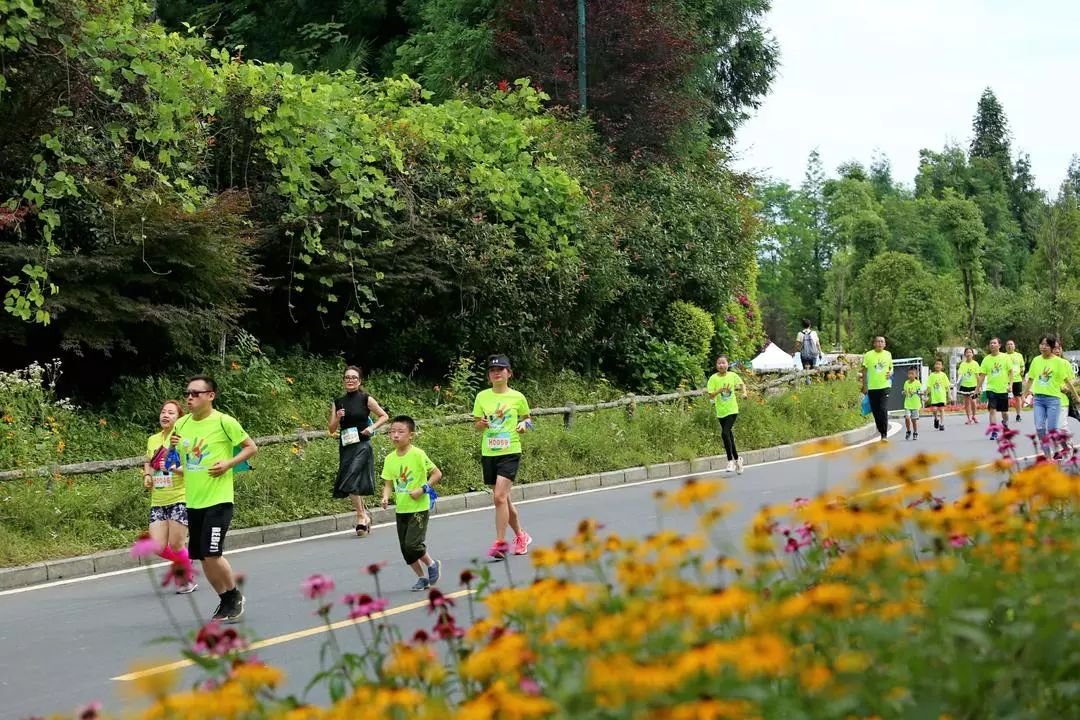 七里坪亲子跑,一场亲子健康跑触动了心灵深处