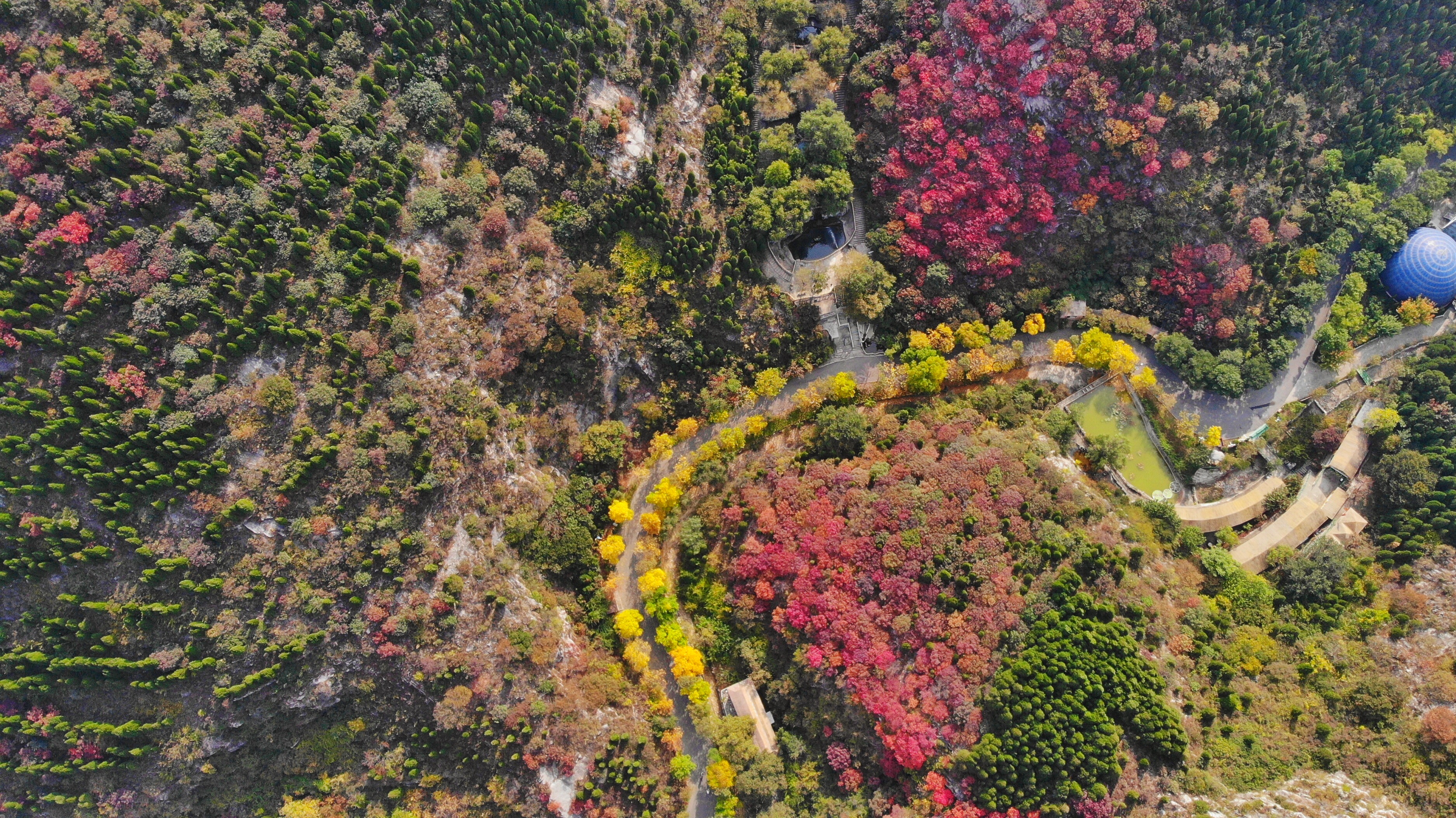木叶动秋声完整视频,木叶动秋