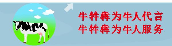 选择奶牛注意事项,提高奶牛舒适度的管理技巧