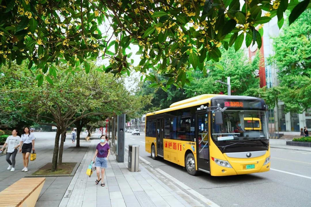 双流，我被你香醒了