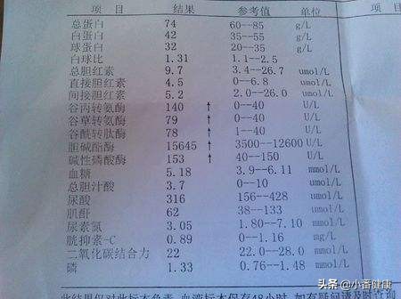 乙肝转氨酶升高66需要抗病毒吗,乙肝抗病毒四个月转氨酶反而升高
