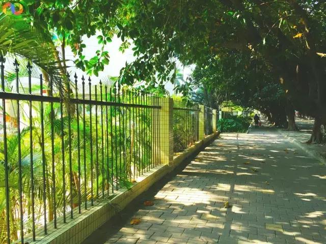 从平安路到桃园路的旧街，独属于老香洲的记忆