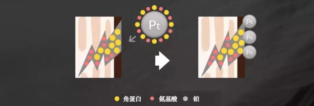 适合清扬的樱花洗发水,明星都在推荐洗发水止痒控油