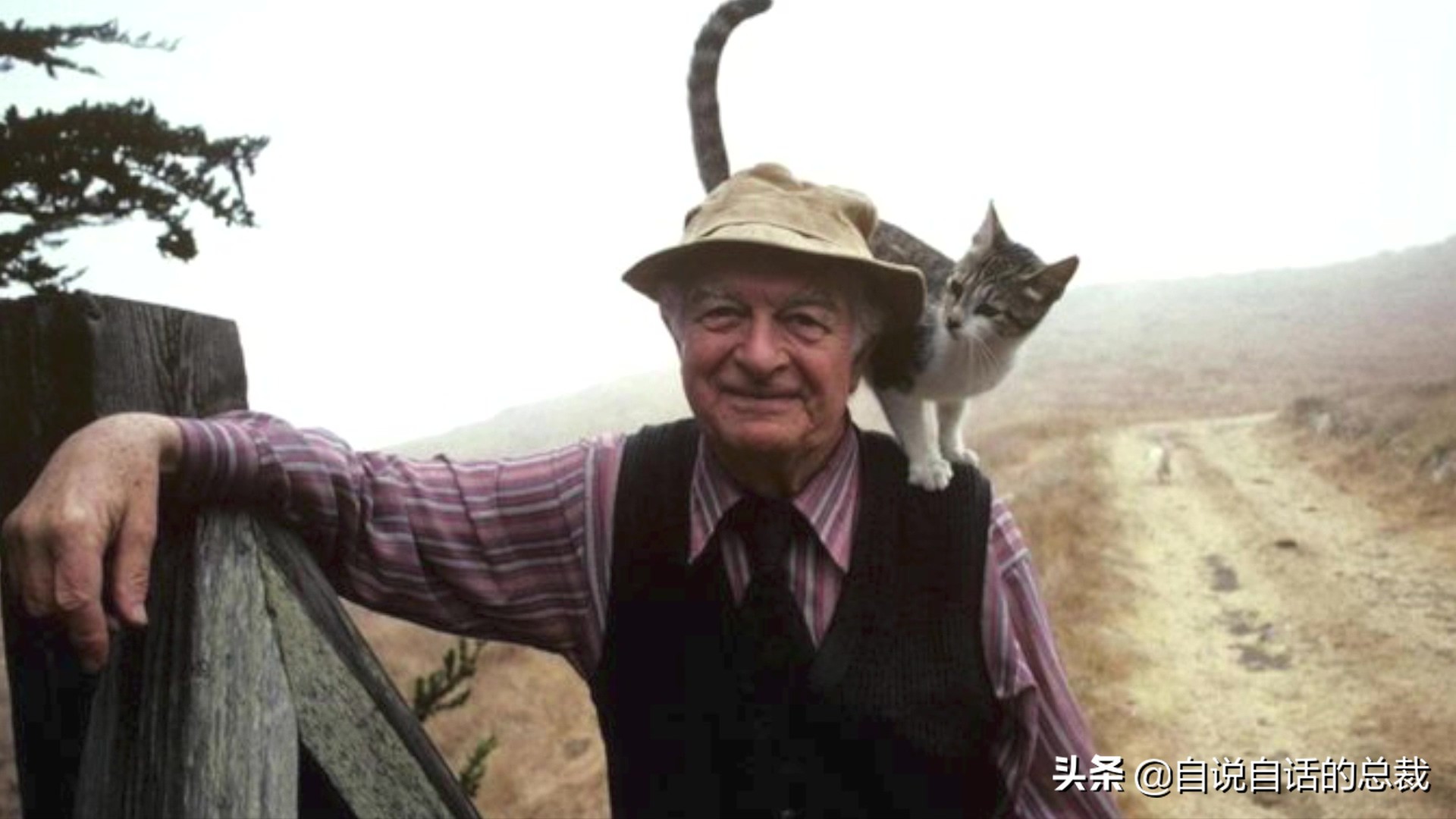 全世界的柠檬都读Lemon?这背后有一个刻在8号染色体上的上古故事