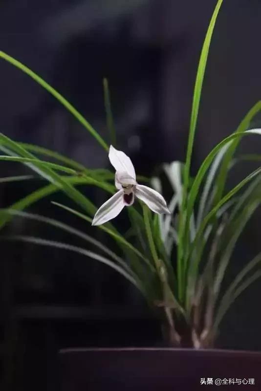 难过时怎么安慰自己,难过的时候怎么安慰自己