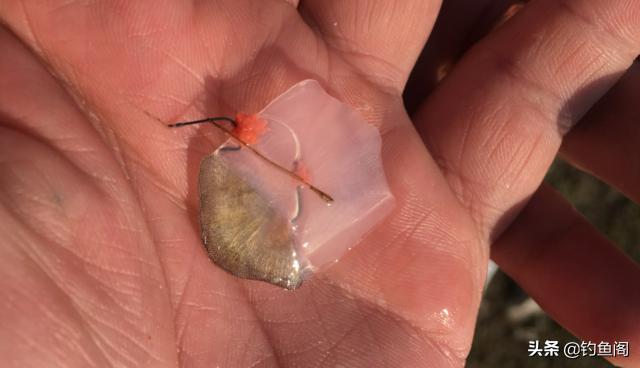 野钓用鲫鱼竿还是综合竿,野钓鲫鱼选鲫鱼竿还是综合竿