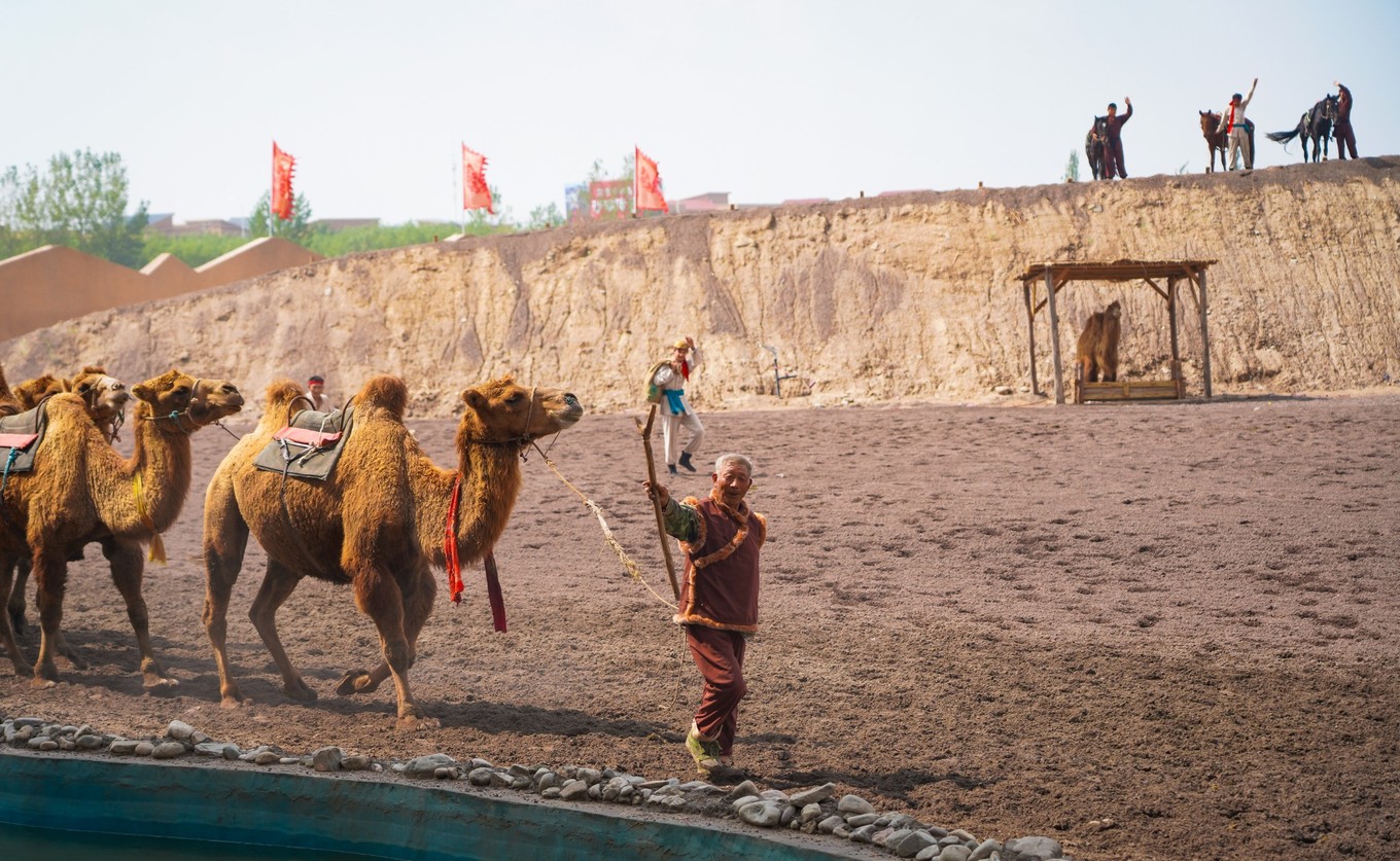 宁夏银川有哪些打卡地,游银川必去的网红打卡地