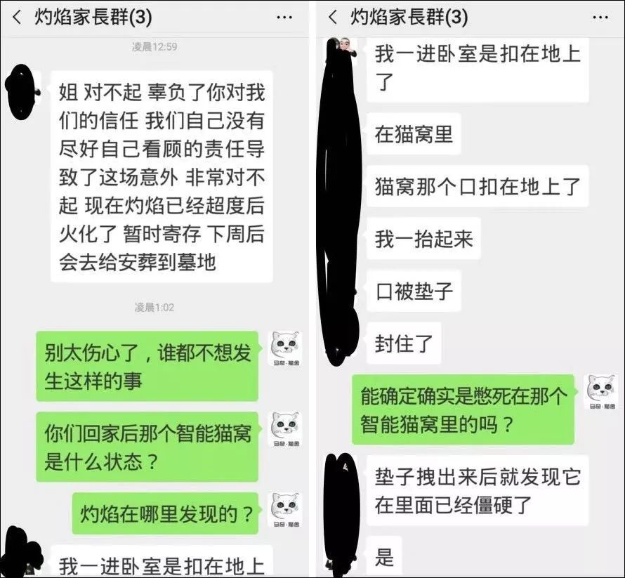 小佩猫窝事件,小佩闷死猫事件
