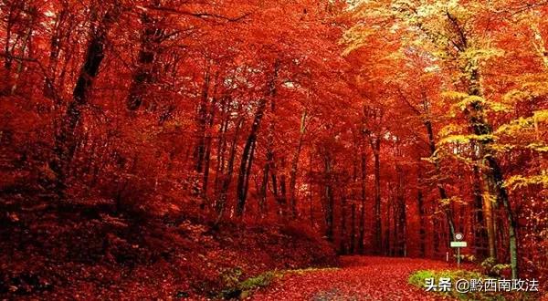 收藏丨中国最美的30个地方