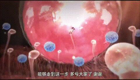 显微镜下的人类卵子和精子,人类首次拍到卵细胞