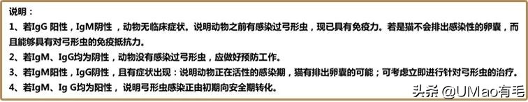 关于弓形虫你所不知道的一切,被弓形虫刷屏的视频