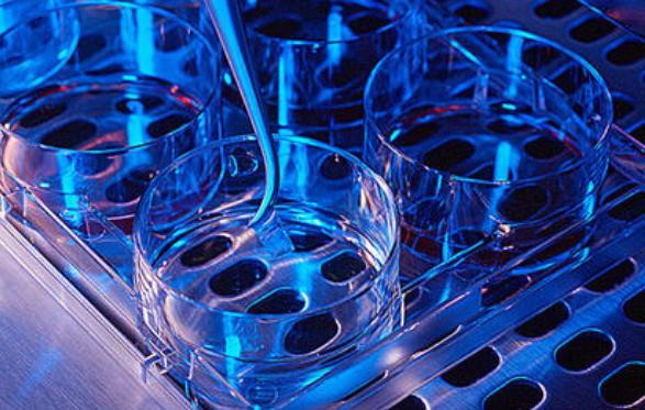 干细胞脐带血功效,scm脐带血干细胞水光真假测评