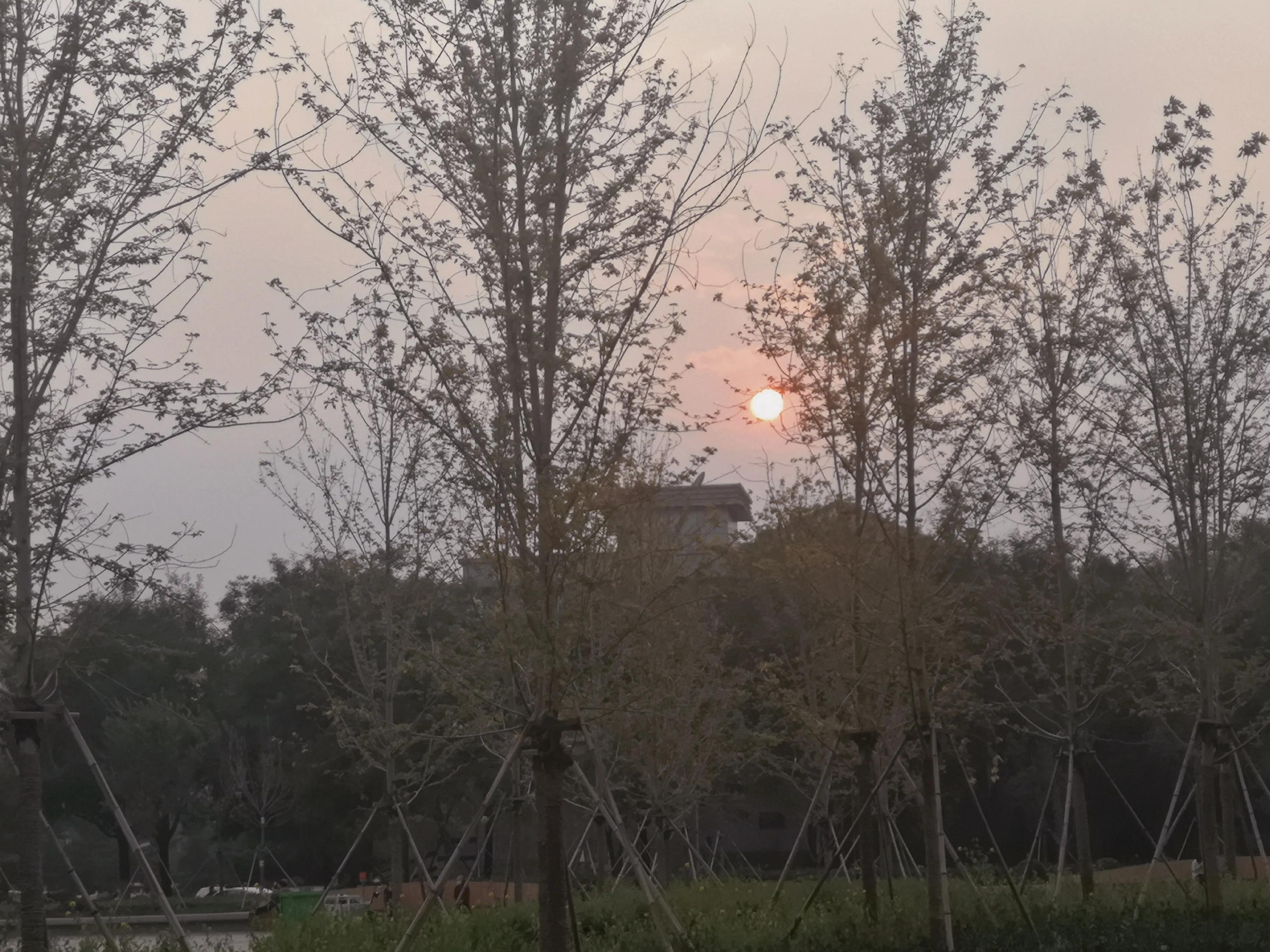 姓陈的人一辈子的命运,三个姓氏不同的人