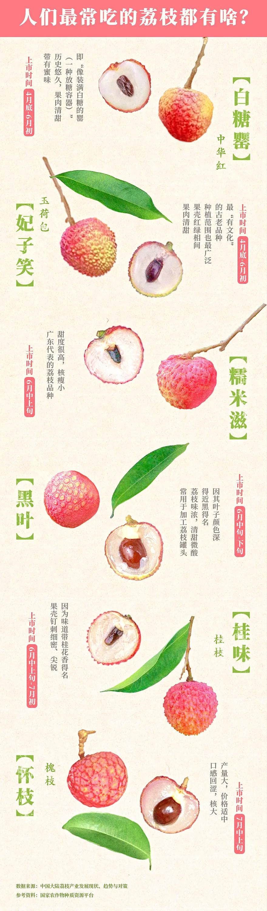 中国哪里的荔枝最甜,全国荔枝最好吃的地方