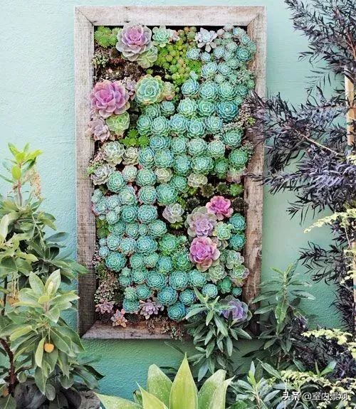 植物花园墙,植物墙与永生植物墙不同