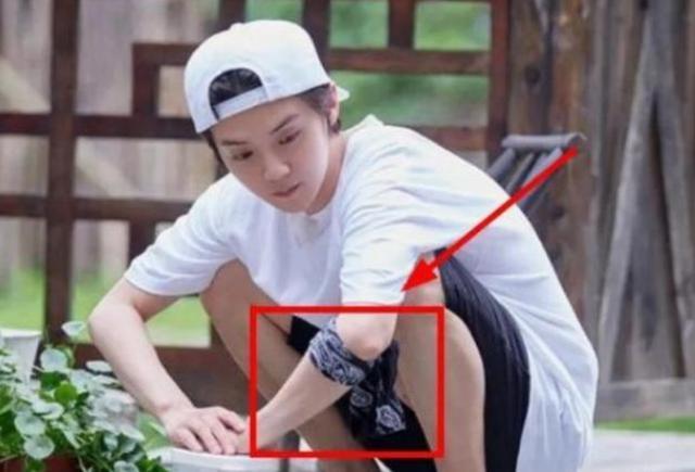 上综艺节目不能露纹身,明星上综艺遮纹身