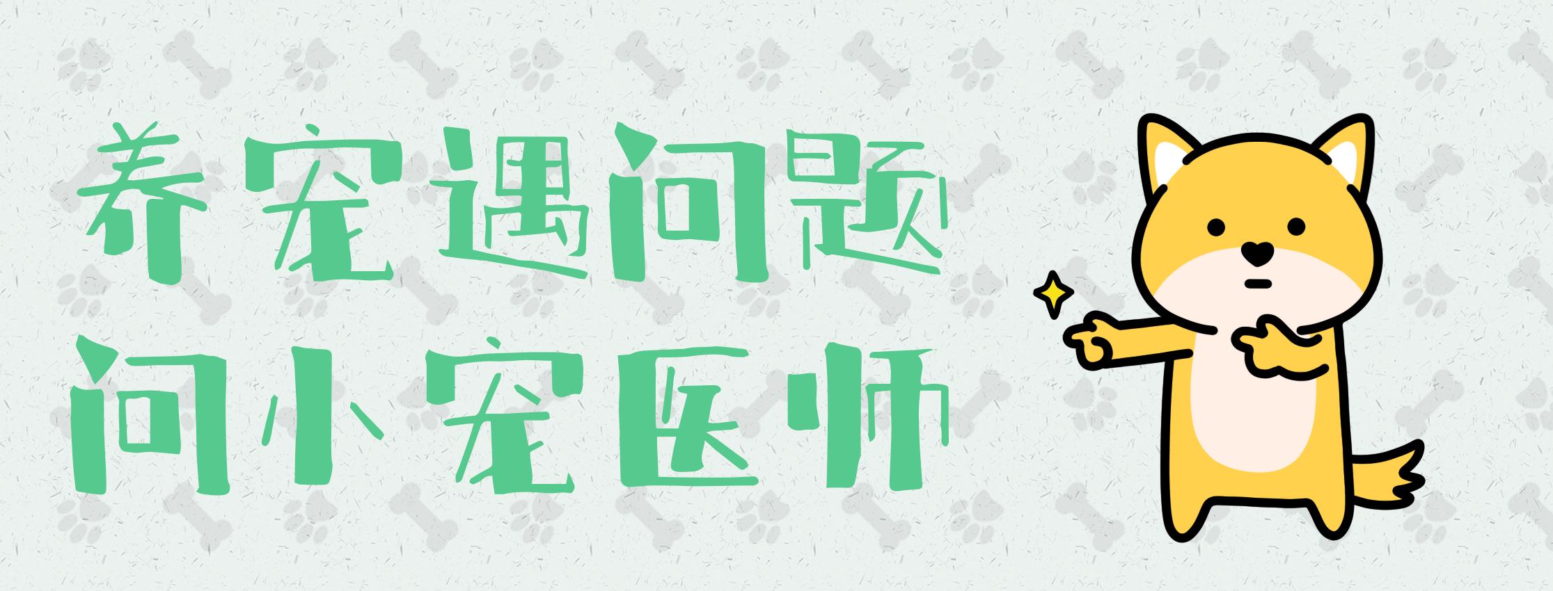 宠物医生问诊图片,宠物健康体检一般检查哪些