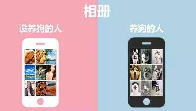 一定要和养狗的人做朋友吗,就喜欢和志同道合的人做朋友