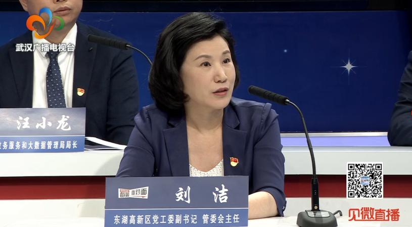 武汉高新企业问题及建议,东湖矛盾纠纷