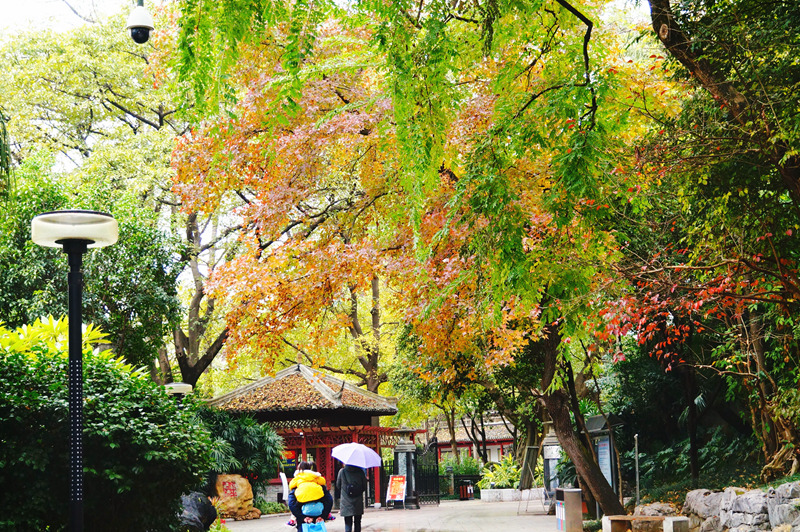 柳州的柳侯公园景色,柳州的秋天美景