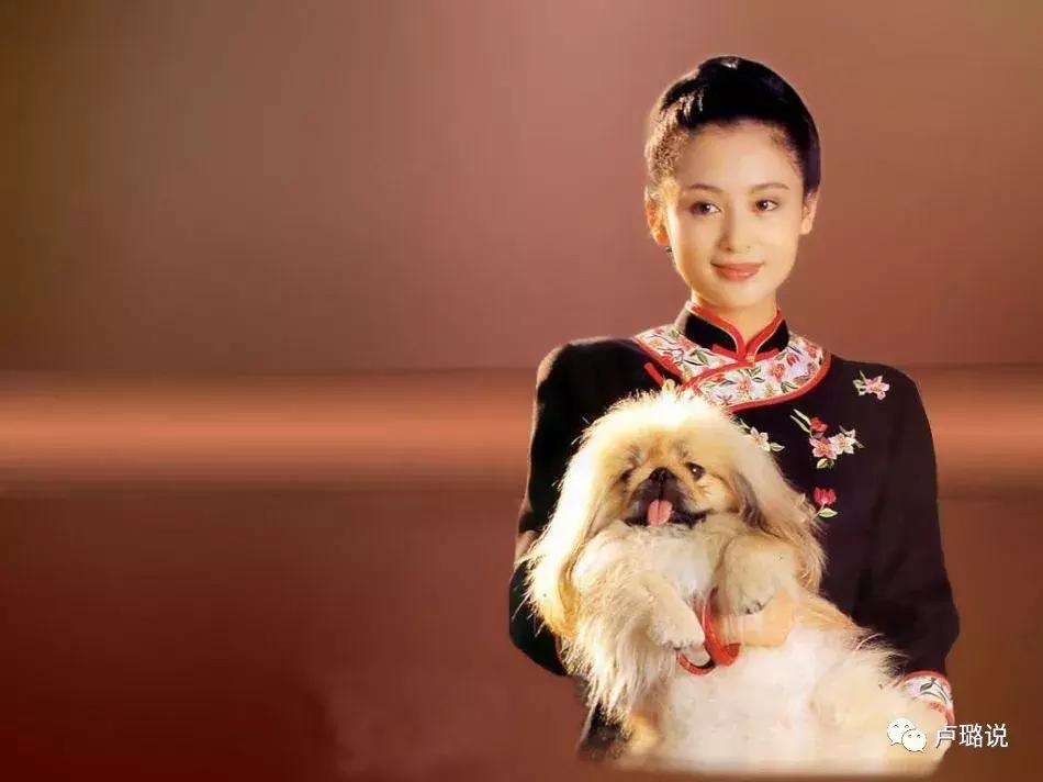 娱乐圈里那些同名不同命的明星,娱乐圈同名同姓的明星都有谁