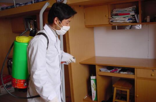 跳蚤的危害及室内灭蚤方法,跳蚤和虱子会传播疾病吗