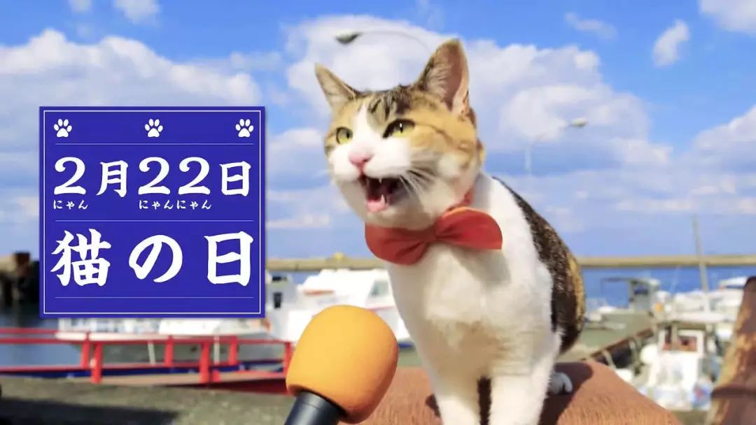 日本有很多猫岛,日本有座岛岛上全是猫咪