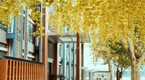 郑州高中top1,郑州top10高中