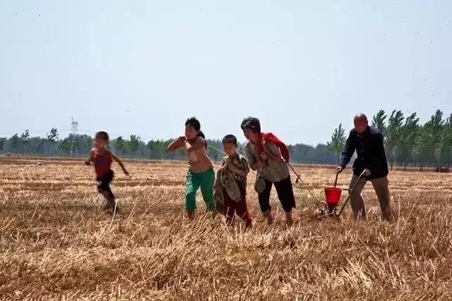 我们曾经放过的麦假