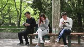 在山上遇到什么野果,在山上遇到哪些野菜