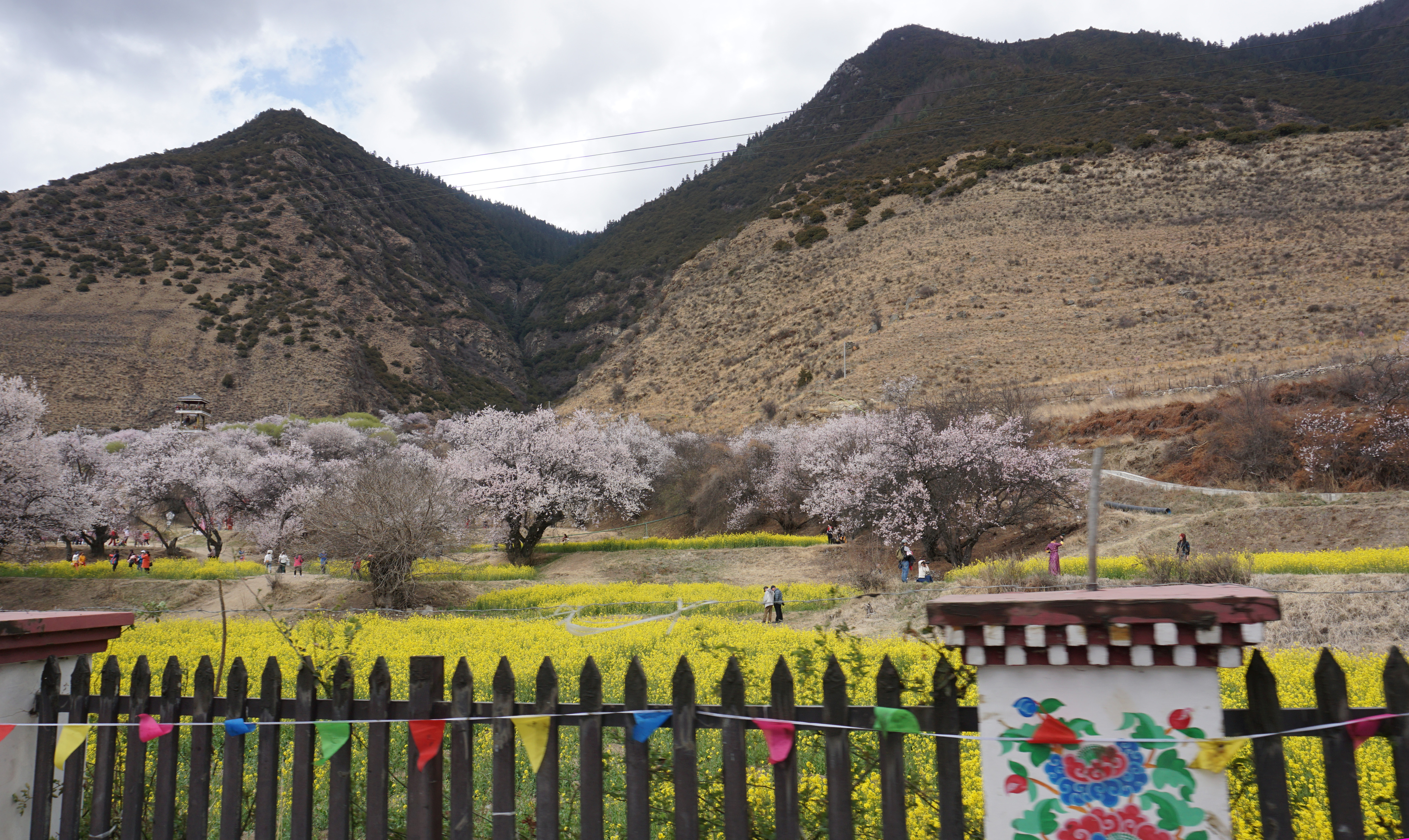 进藏day7试驾,自驾西藏day4