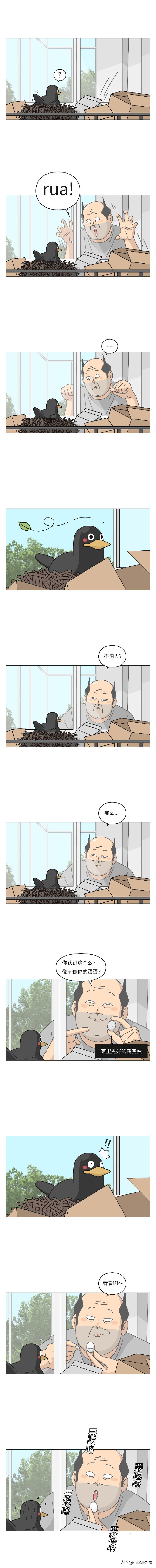 被一只鸟记仇是什么体验？（漫画）