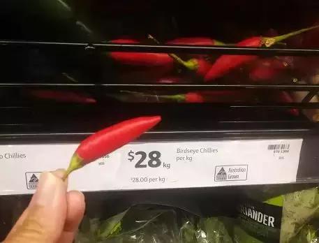 澳洲大龙虾奢华大餐,澳洲大龙虾海鲜大餐