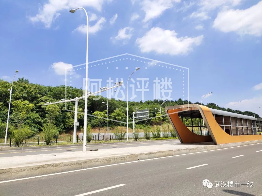 开挂了！比肩世界的爆款区域利好多到数不清！一般人已高攀不起