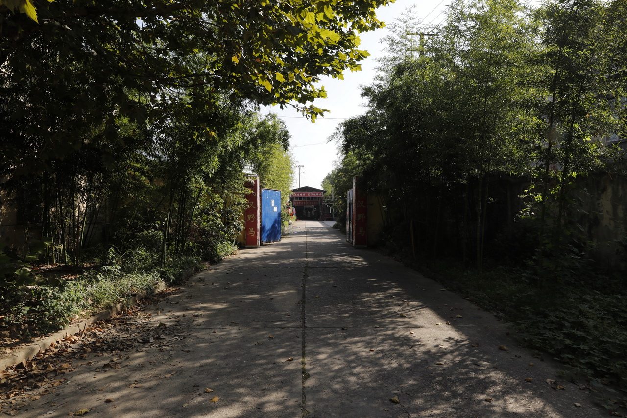 湖北省江汉棉纺织厂怎么样,武汉东西湖棉纺织厂梁冬芳